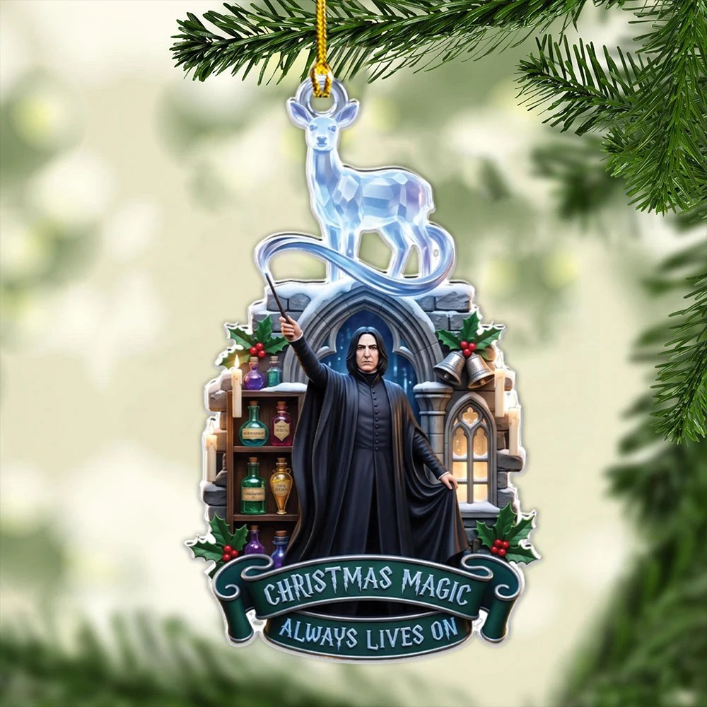 Harry Potter Custom Shape 2-side Printed Acrylic Ornament – MAITM15486