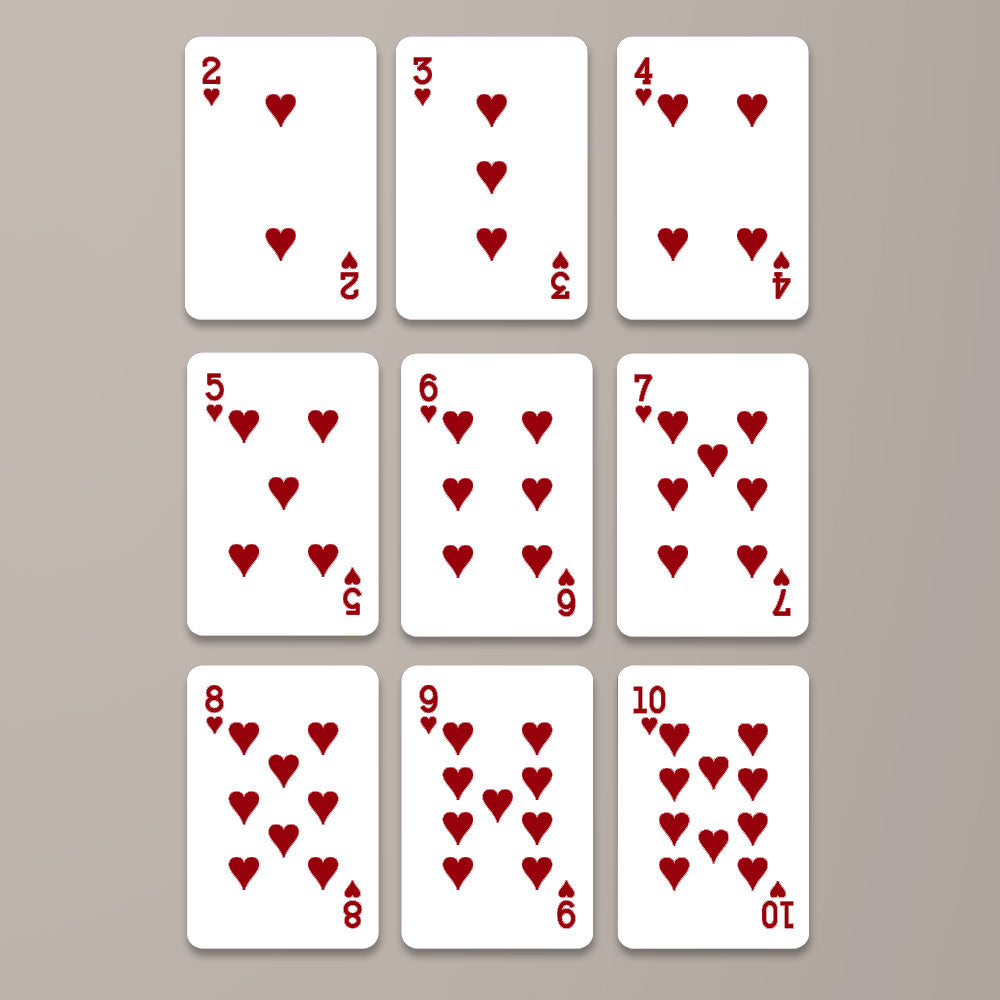Resident Evil Requiem 3D Playing Cards Deck – GNE5974