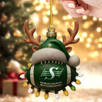 Saskatchewan Roughriders Custom Shape 2-sided Acrylic Ornament – TMTHU2570