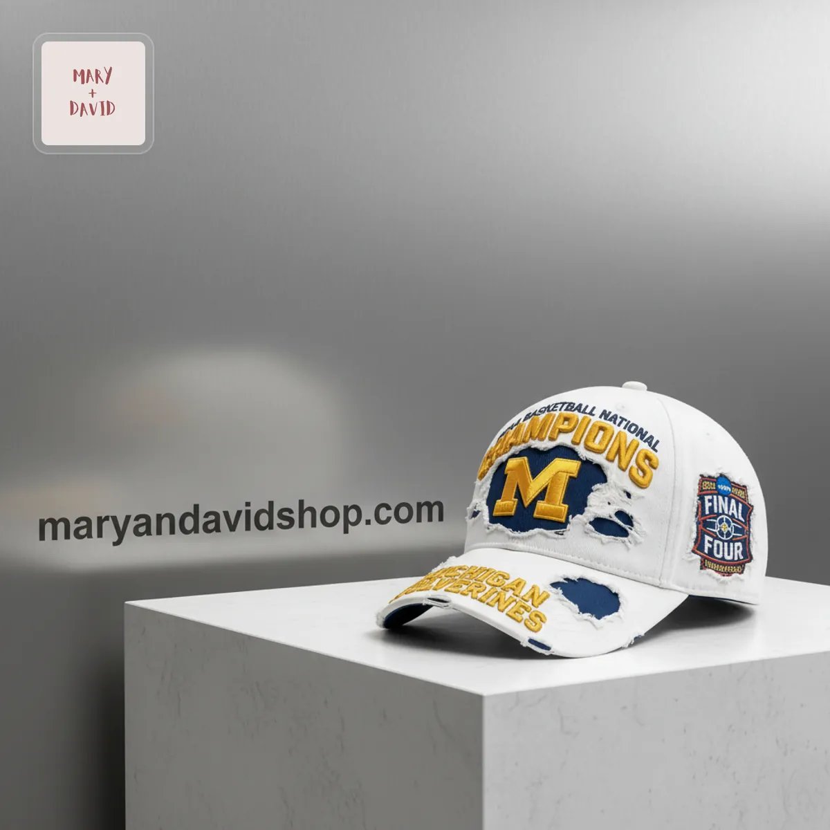 Michigan Wolverines 2025 Final Four National Champions Distressed Cap