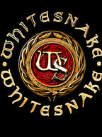 Whitesnake Shirt