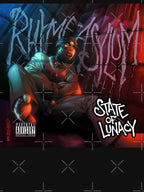 Rhyme Asylum State Of Lunacy Shirt