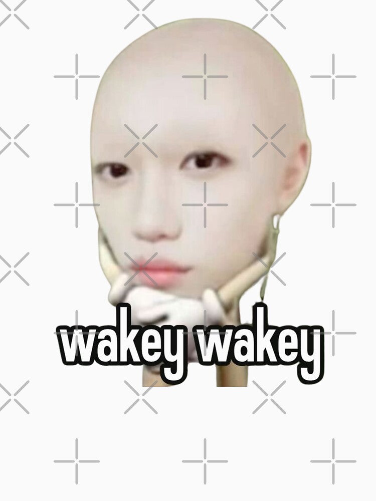 Felix Skz Meme Wakey Wakey Shirt