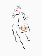 Logo POCO BAND - Exclusive Shirt
