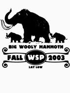 Widespread Panic Shirt