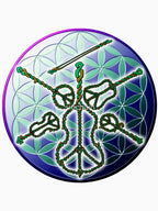 Sacred Celtic Bluegrass Circle Shirt