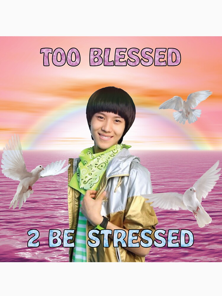 2 Blessed 2 Be Stressed Shirt