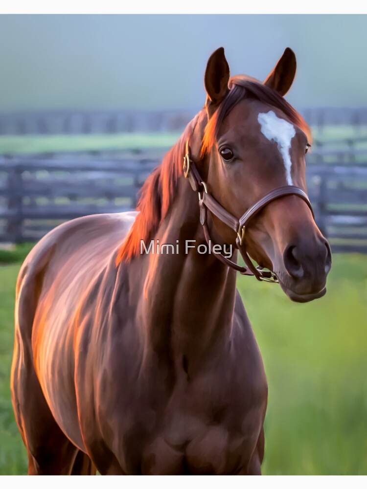 Thoroughbred Filly Shirt