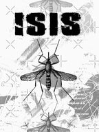 Isis - Mosquito Shirt
