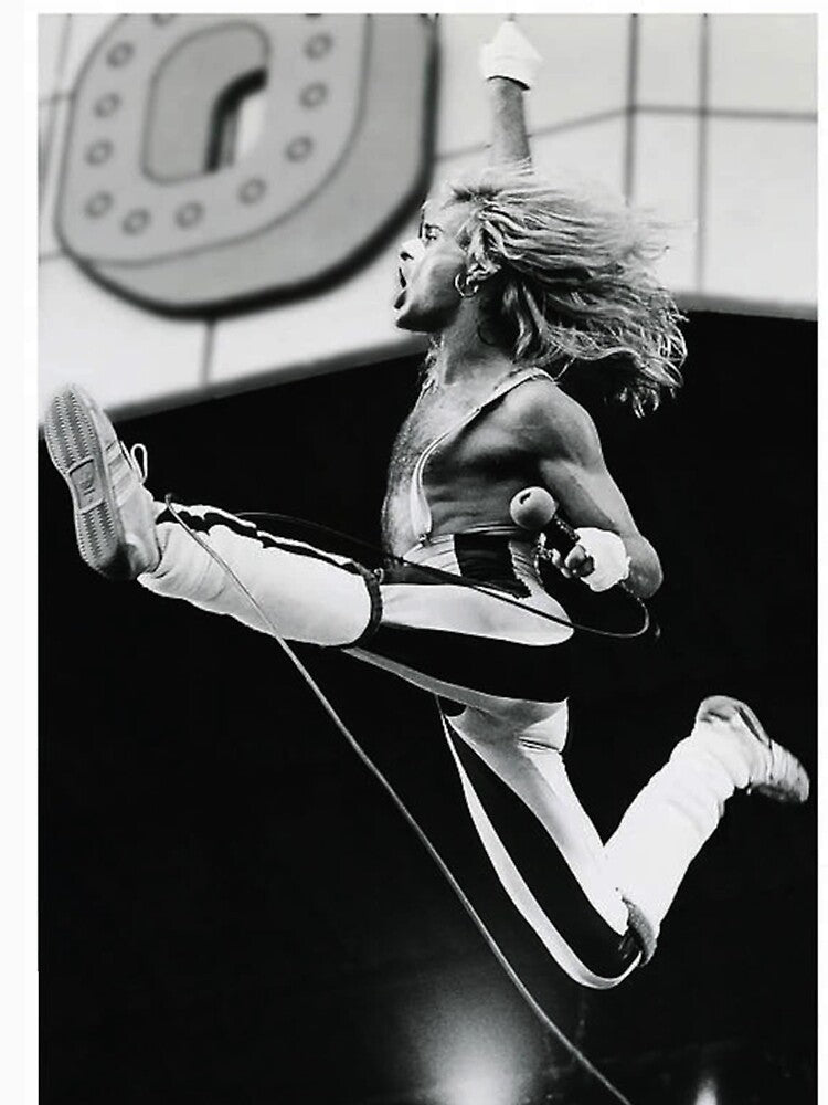 David Flying Kick Shirt
