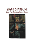 Stardust And The Spiders From Mars Vintage Rock Shirt