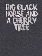 KT Tunstall - Big Black Horse And A Cherry Tree Shirt