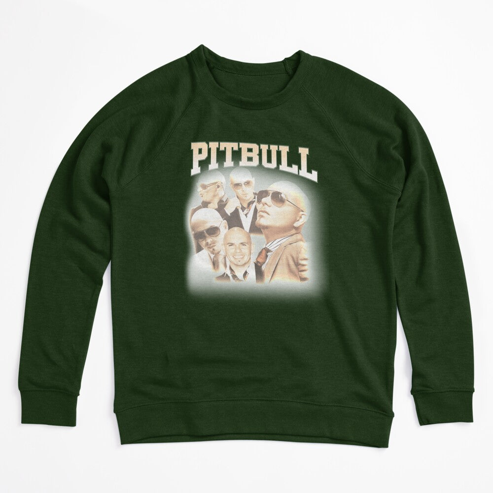 Mr Worldwide Pitbull Singer Shirt