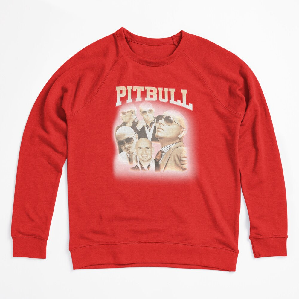 Mr Worldwide Pitbull Singer Shirt