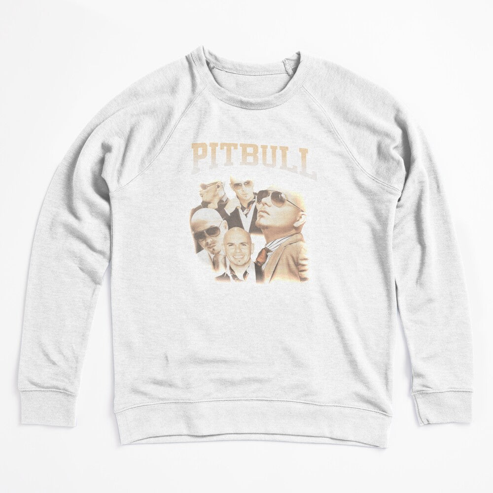 Mr Worldwide Pitbull Singer Shirt